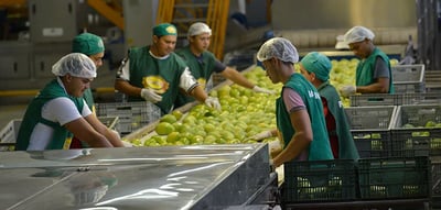 Infraestrutura digital: gigante do setor alimentício conta com data center para intensificar produção no Brasil