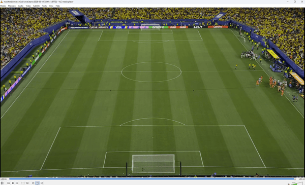 falha sistema fifa
