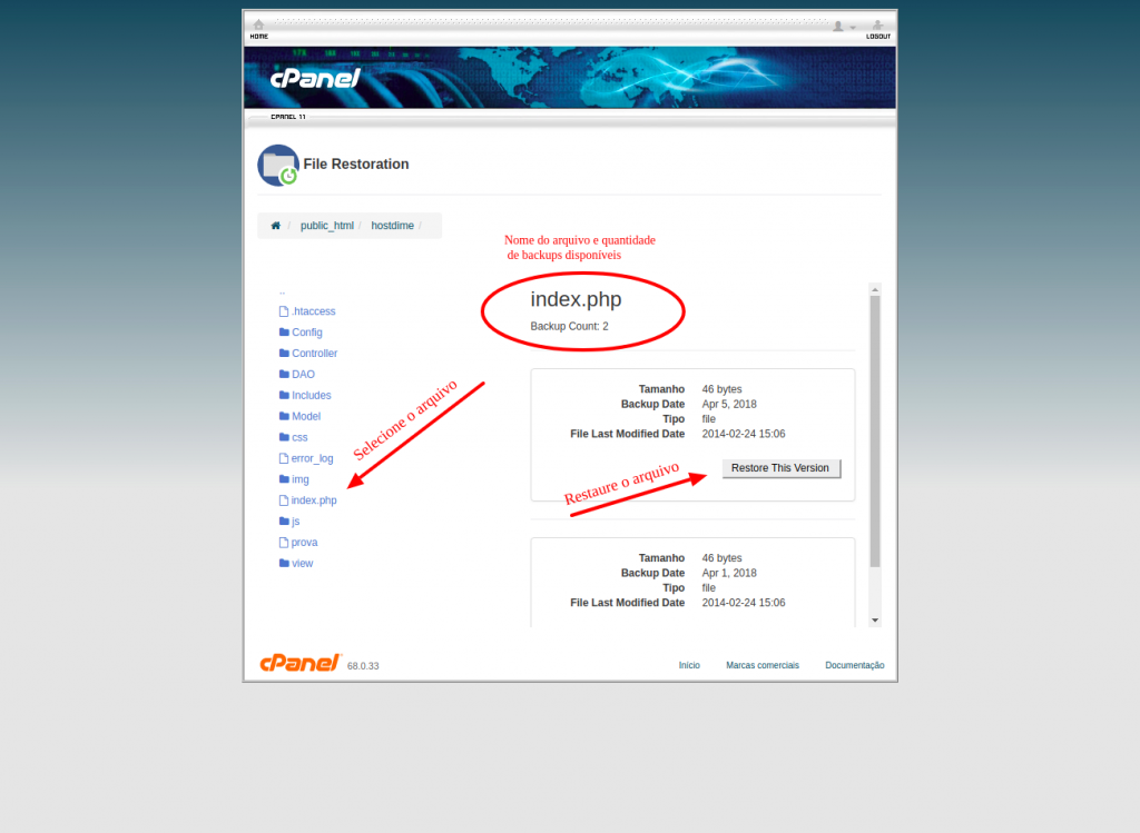 cPanel-File-Restoration-1024x749.png